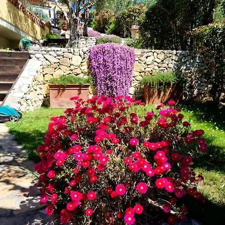 Villacolle